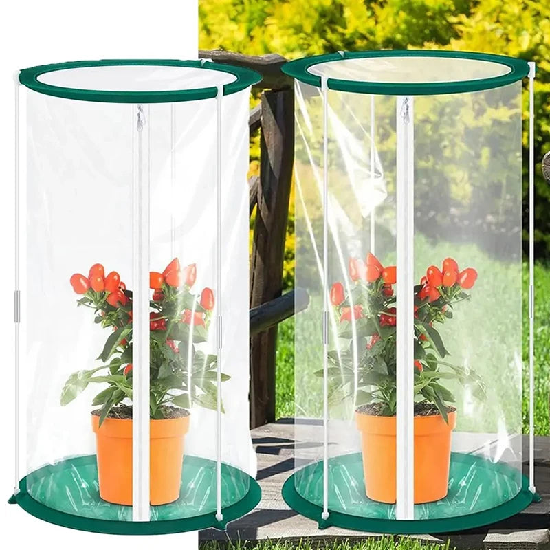 Butterfly Observation Cage — Portable Insect Habitat for Nature Study