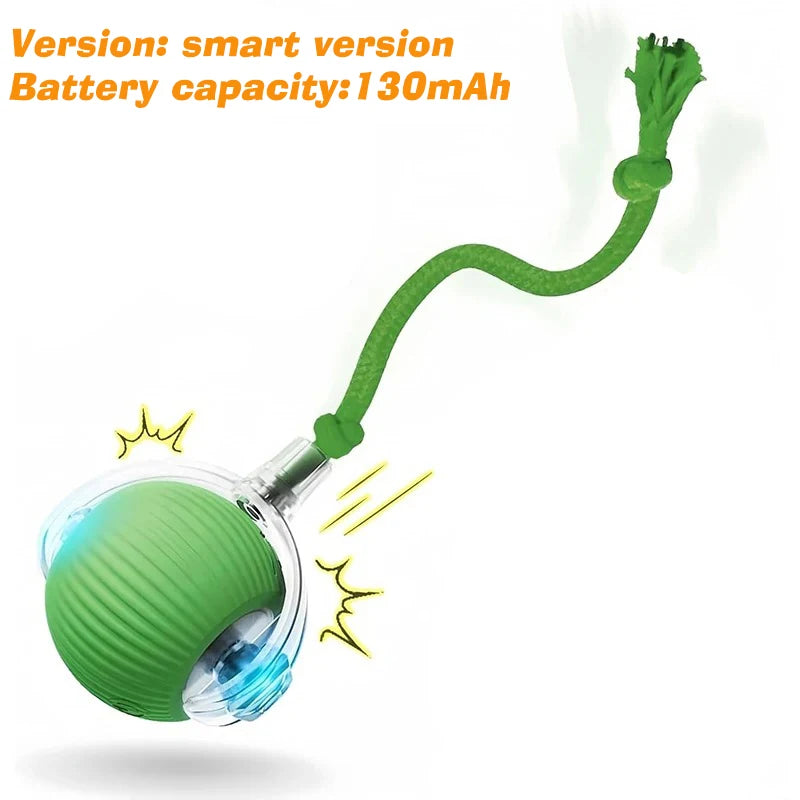 Right Cat Interactive Rolling Dog Ball — Smart Automatic Pet Toy