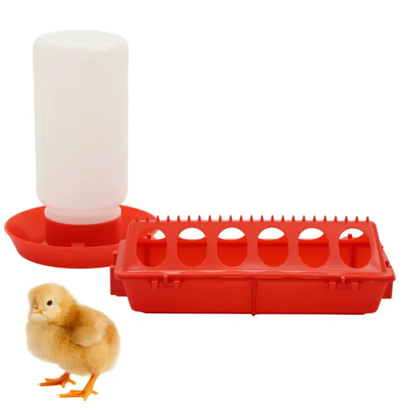 Automatic Chicken Feeder and Water Dispenser — Small Animal Feeding Station
