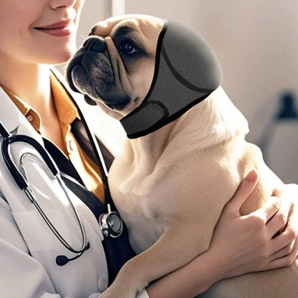 Noise Reduction Dog Ear Covers — Calming Hearing Protection for Pets