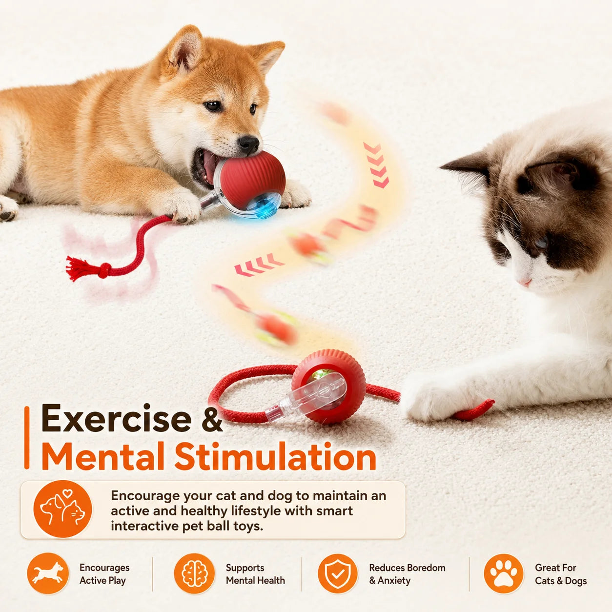 Right Cat Interactive Rolling Dog Ball — Smart Automatic Pet Toy
