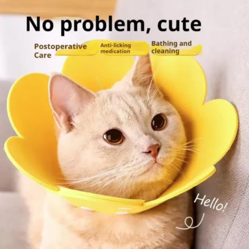 Adjustable Flower Shape Pet Recovery Collar — Protective Cone for Cats and Small Dogs