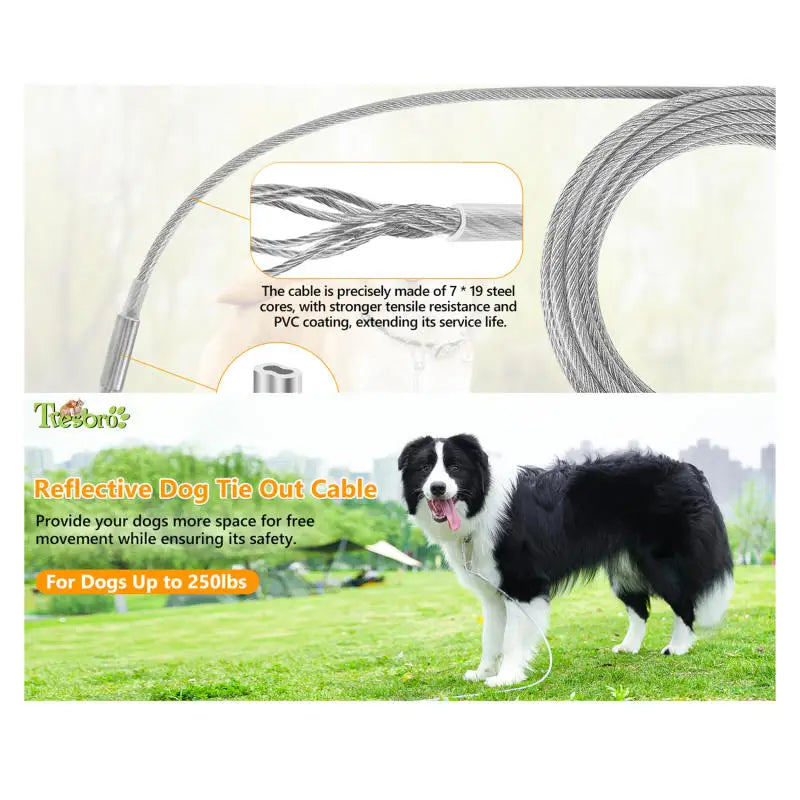 Heavy-Duty Stainless Steel Dog Tie-Out Cable — Reflective Outdoor Leash