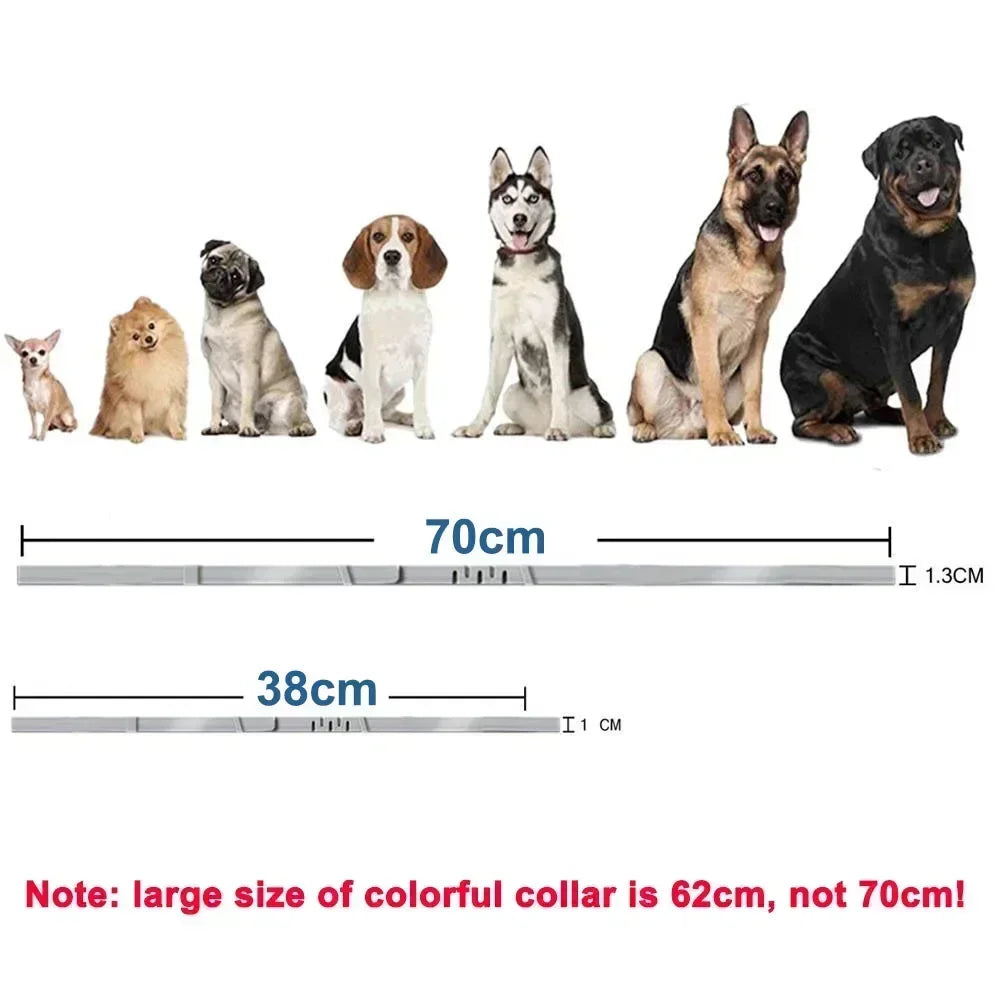 Adjustable Waterproof Pet Collar — Durable Plastic Design for Cats and Dogs