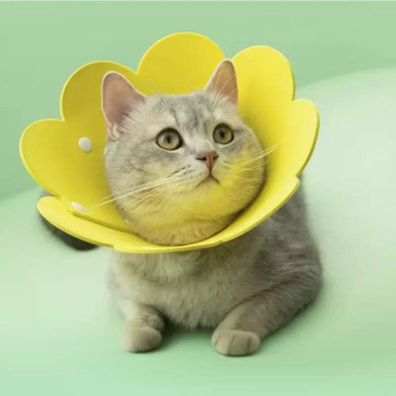 Adjustable Flower Shape Pet Recovery Collar — Protective Cone for Cats and Small Dogs