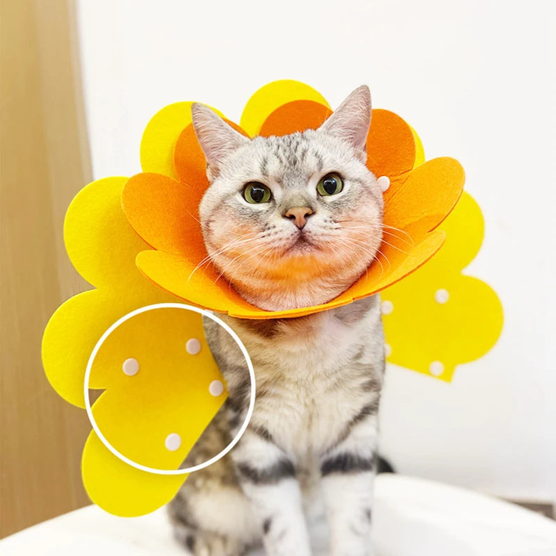 Pet Protective Recovery Cone — Anti-Bite Collar for Wound Healing