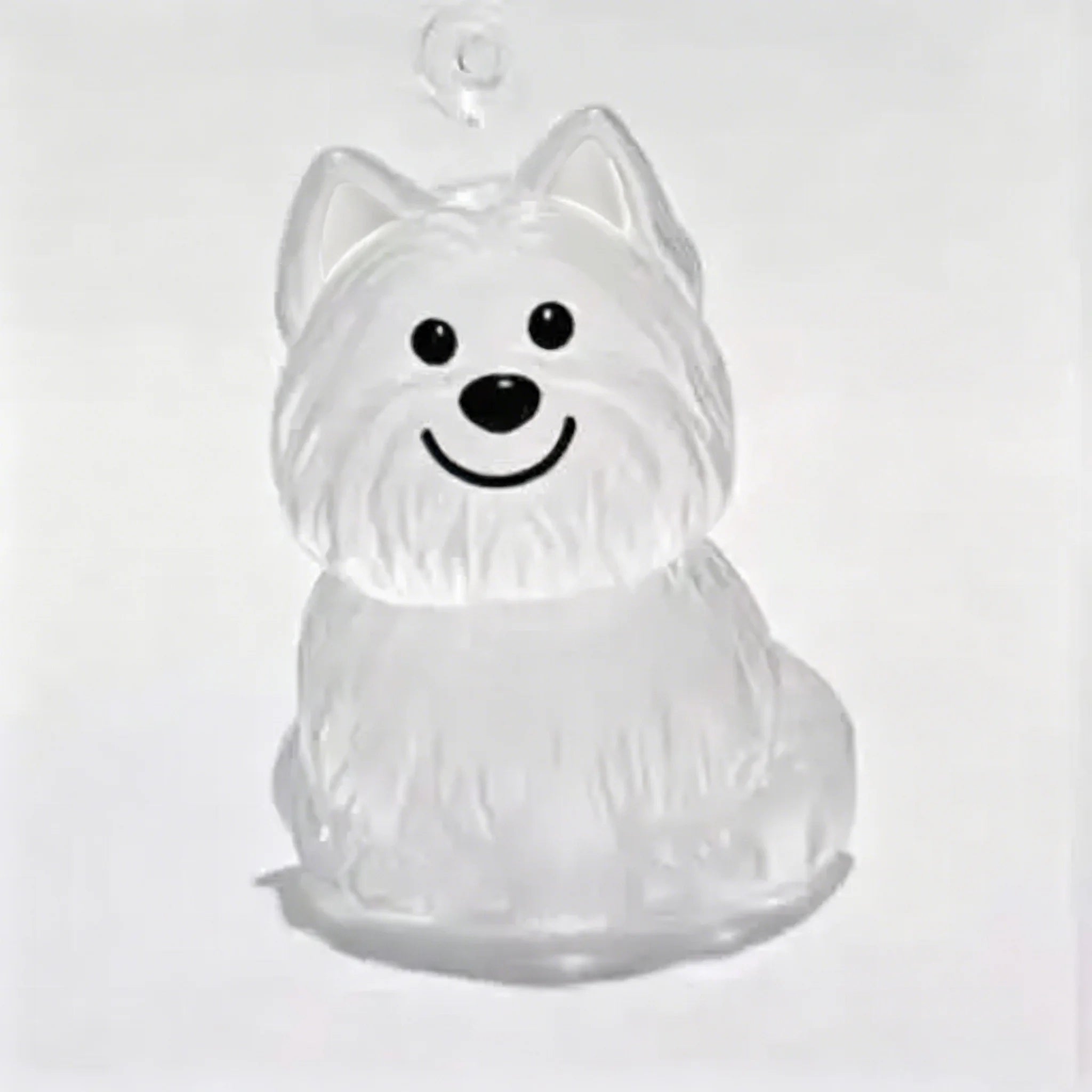 Pet Hair Memorial Keepsake Capsule — Transparent Keychain Pendant for Pet Lovers