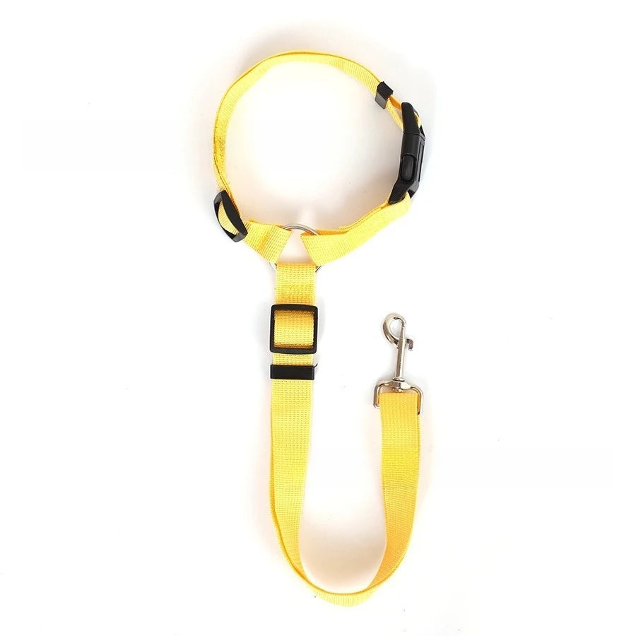 Two-in-One Pet Car Seat Belt — Adjustable Nylon Leash & Safety Tether