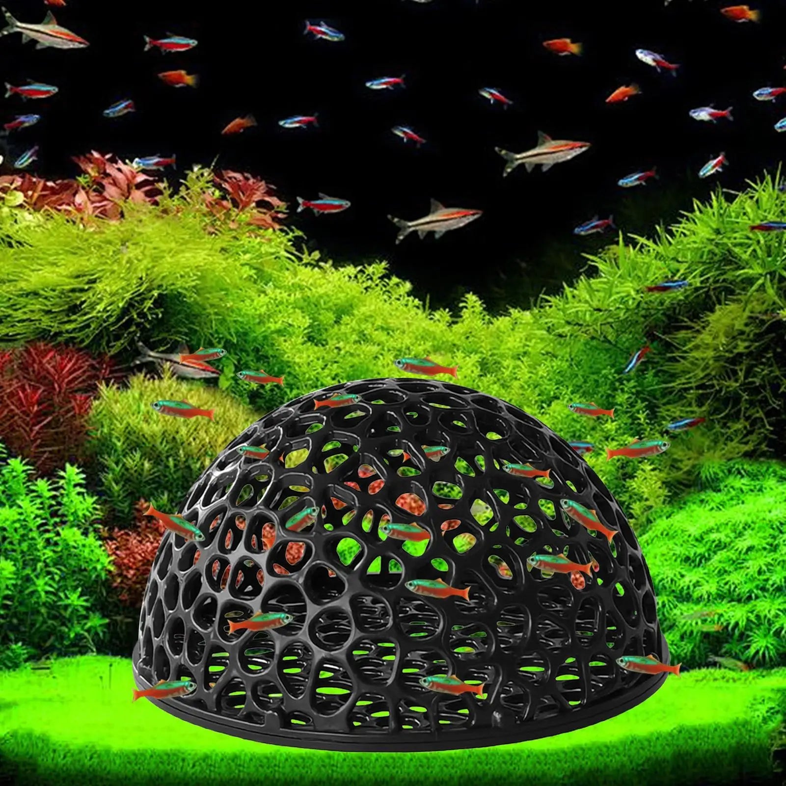Shrimp Breeding Cave — Aquarium Hiding Place and Fish Habitat