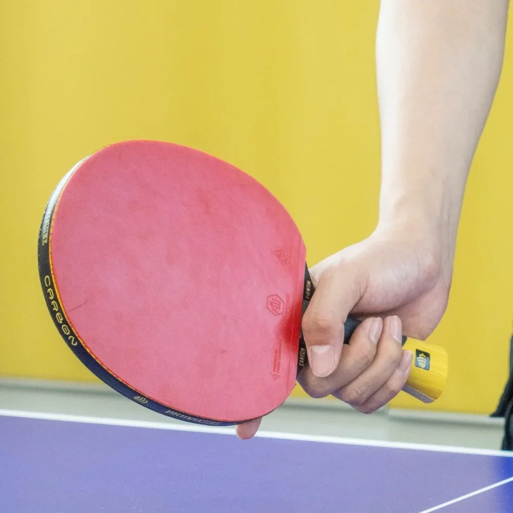 SANWEI BravoBee Carbon Table Tennis Paddle — Professional Control & Spin Bat