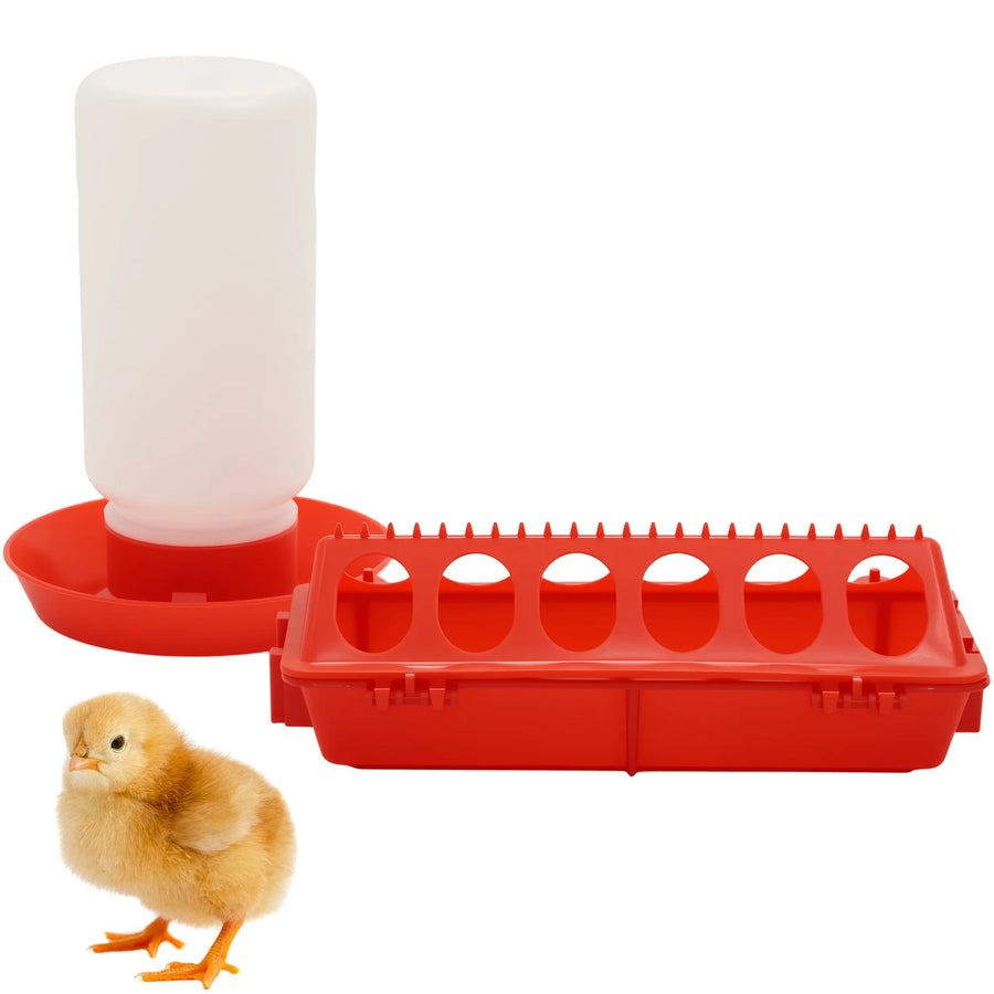 Automatic Poultry Feeder and Waterer Set — Efficient Hydration & Feeding System