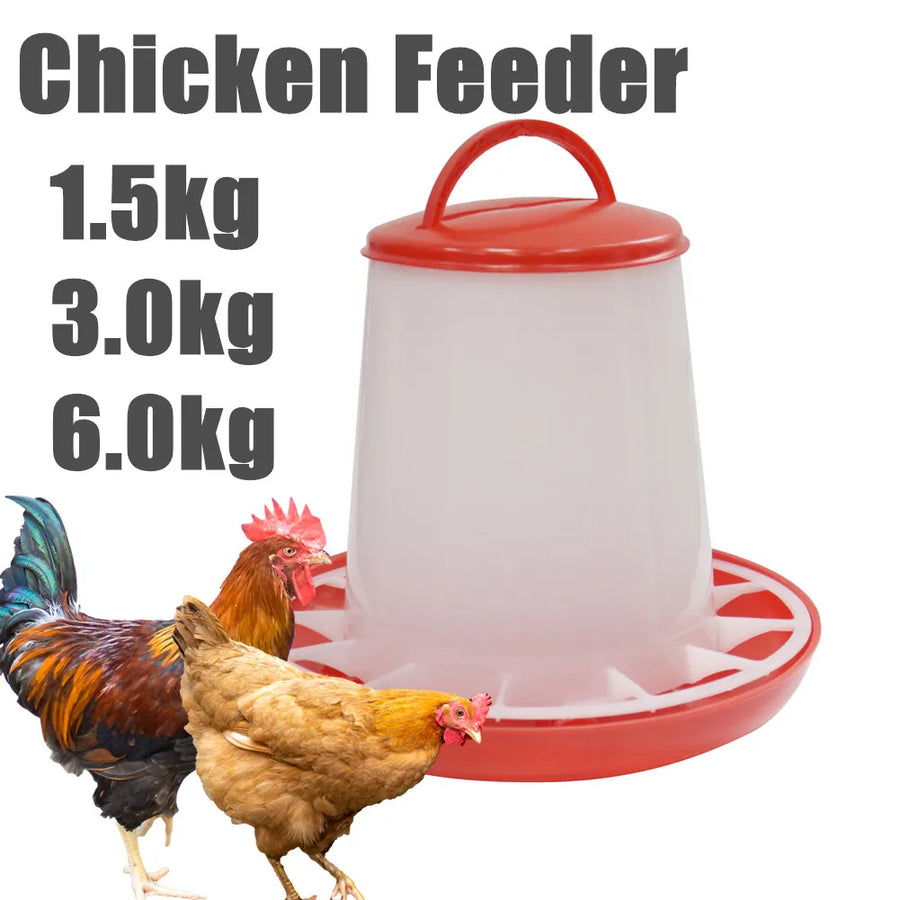 Adhere To Fly Automatic Chicken Feeder — Durable Poultry Feeding Bucket