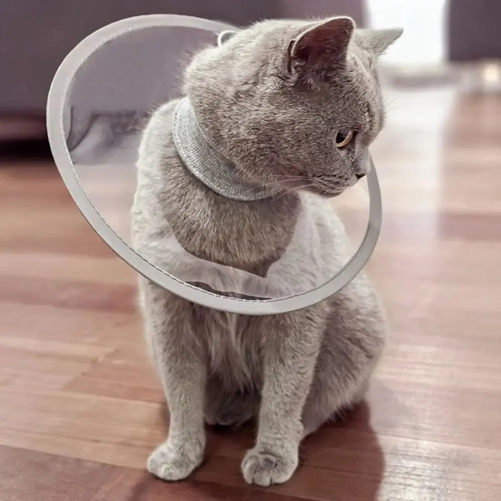 Waterproof Pet Recovery Collar — Lightweight and Breathable Neck Cone