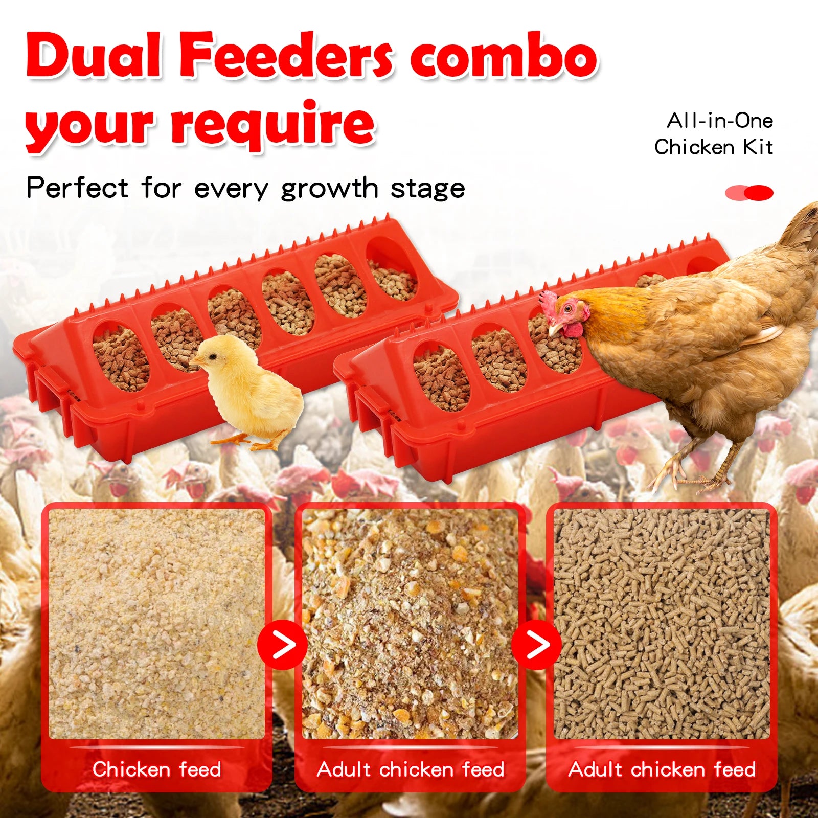 Automatic Chicken Feeder and Water Dispenser — Small Animal Feeding Station