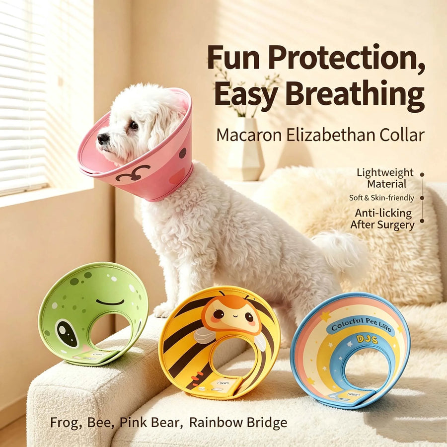 Cartoon Recovery Cone for Pets — Rigid Protective Elizabeth Collar