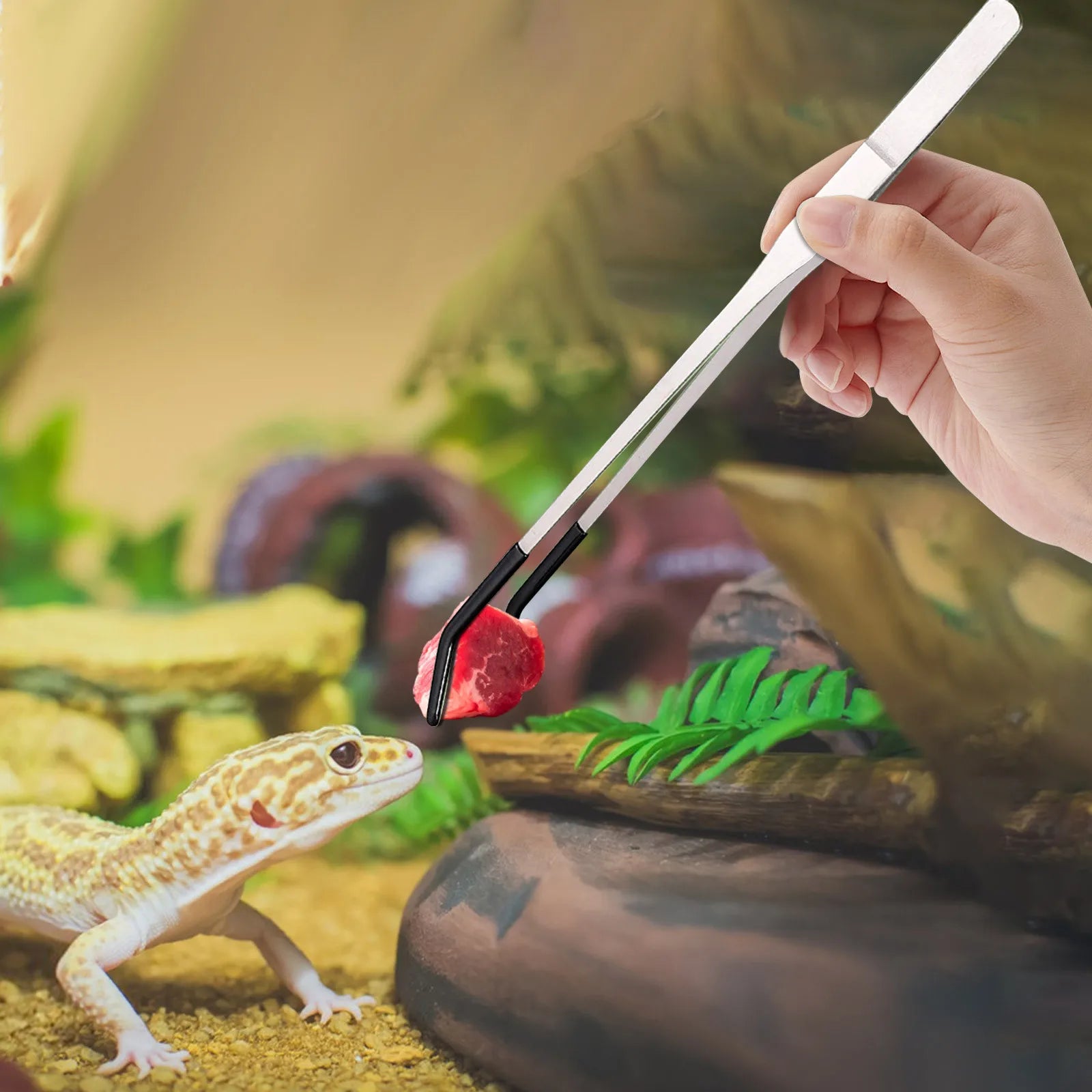 Stainless Steel Feeding Tongs — Precision Bent Tip Tweezers for Reptiles and Crafts