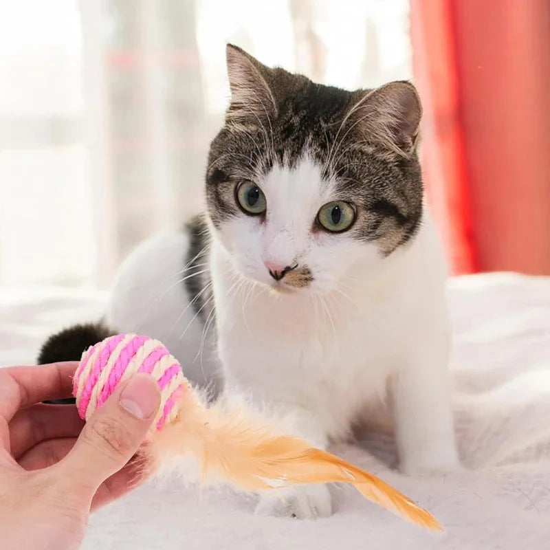 Sisal Feather Ball Cat Toy — Interactive Scratching & Play Ball