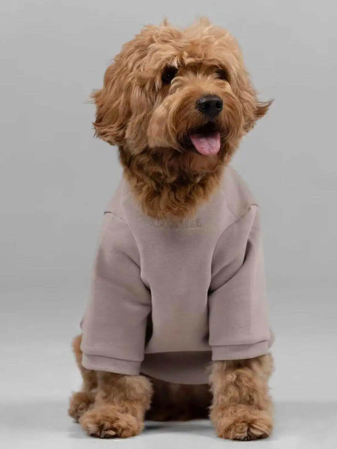 Warm Pet Hoodie — Soft Cotton Blend Sweatshirt with Leash Opening