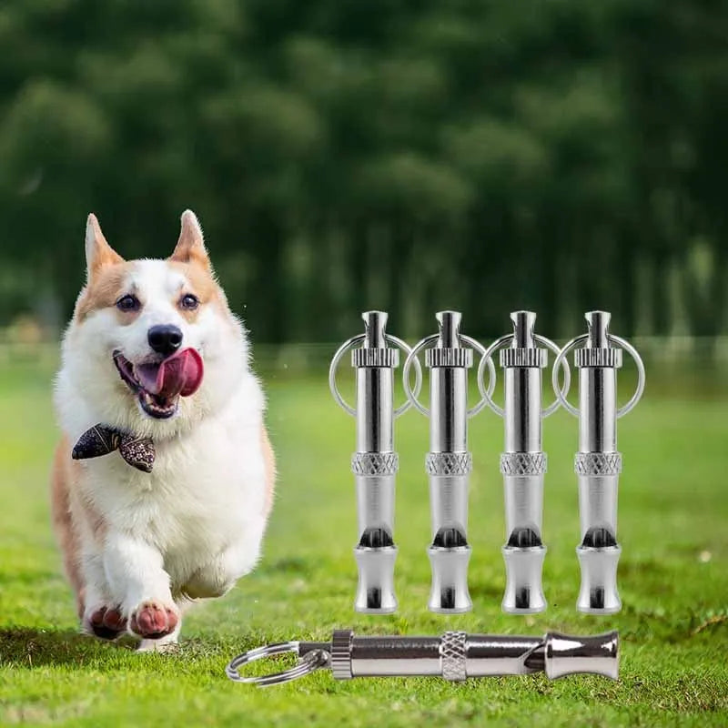 Adjustable Stainless Steel Dog Whistle — Professional Training Tool with Keychain