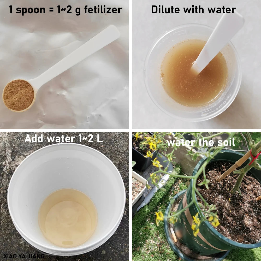 Bacillus Licheniformis Microbial Fertilizer — Organic Soil & Plant Vitality Booster