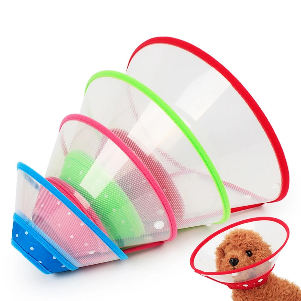 Pet Recovery Elizabethan Collar — Soft Padded Cone for Wound Healing