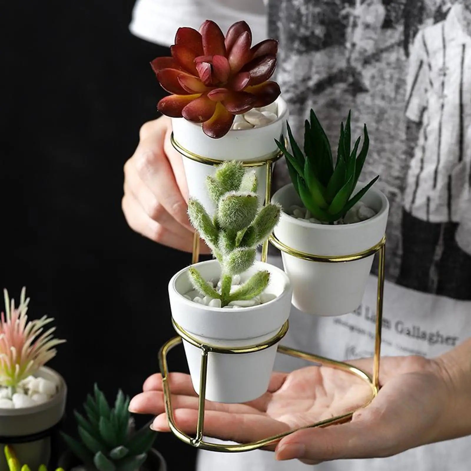Kesoto Mini Ceramic Succulent Planter Set — Modern Pottery Pots with Metal Stand