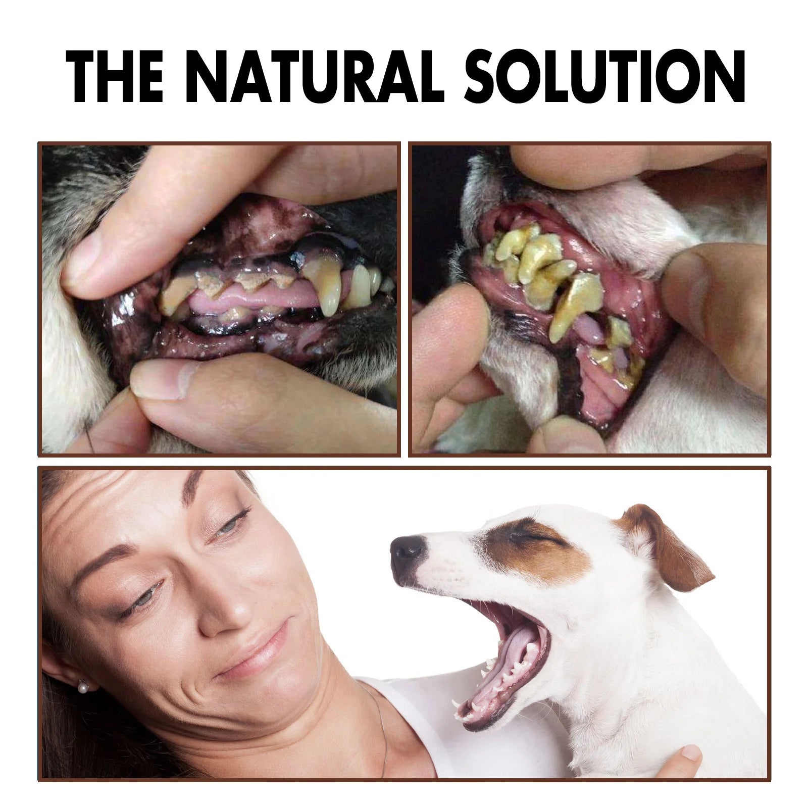 YEGBONG Pet Dental Care Spray — Bad Breath & Tartar Control Formula