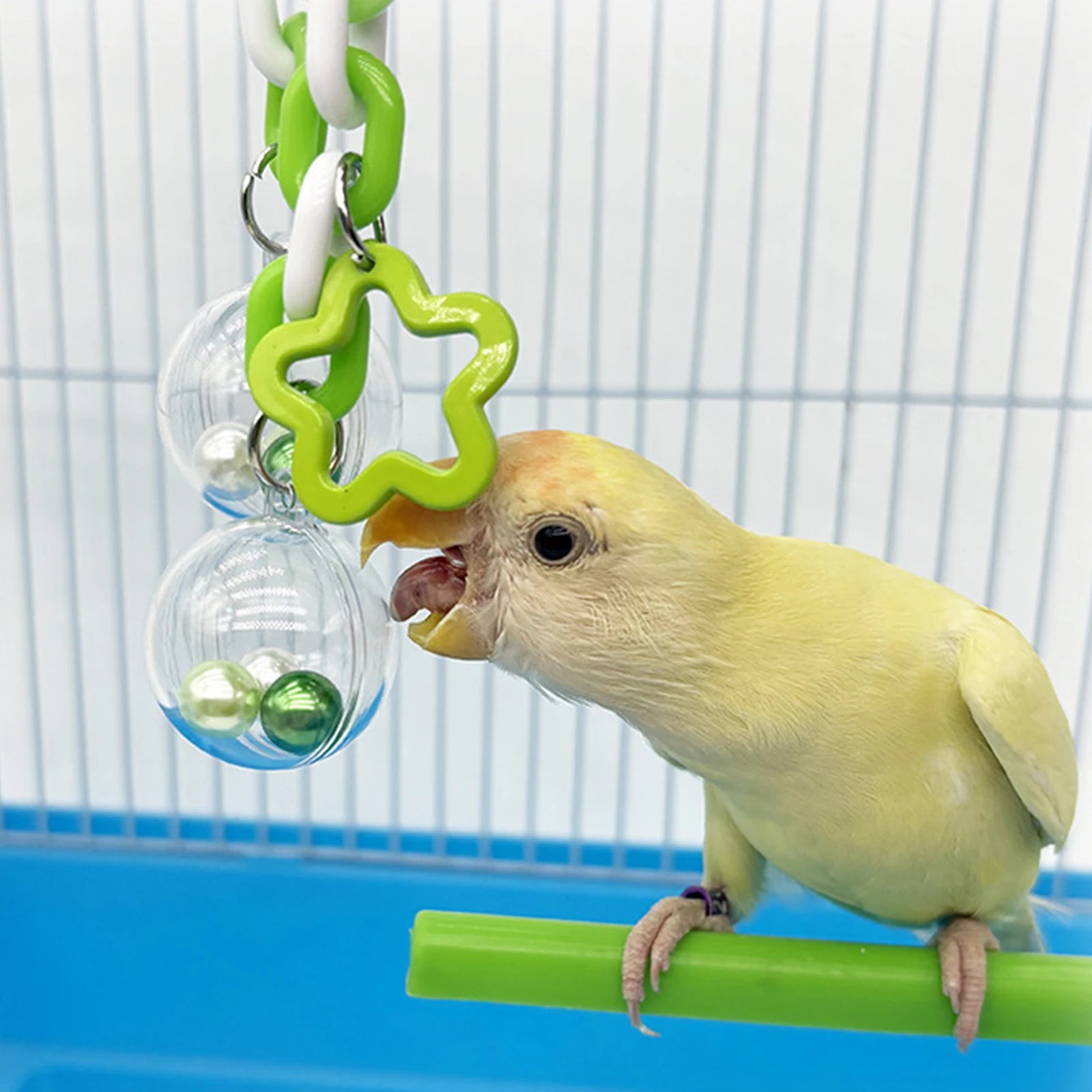 Colorful Bead Hanging Bird Toy — Interactive Climbing & Chewing Accessory