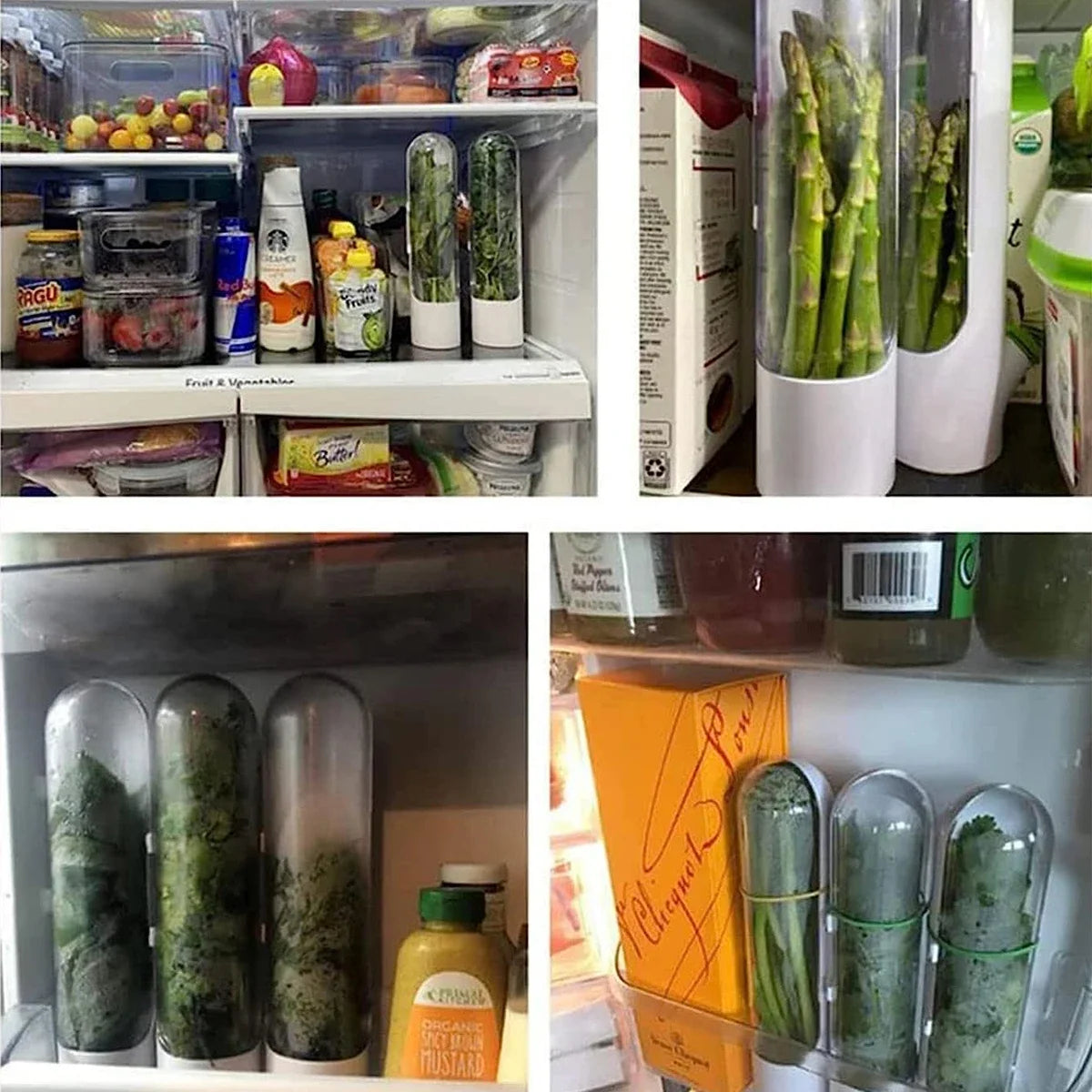 Fresh Herb Storage Container — Airtight Vegetable Preservation Bottle